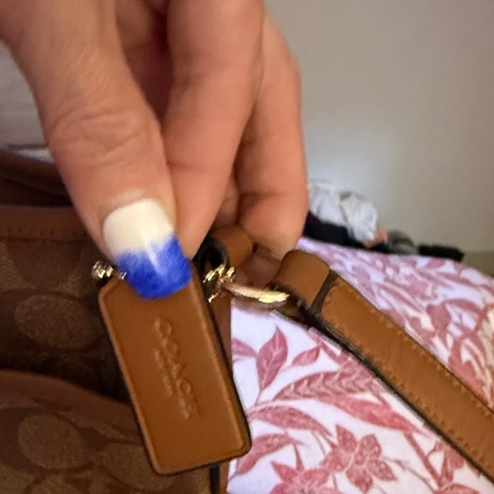 Coach Signature Brown and Red Stripe Bag